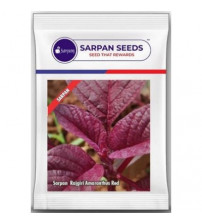 Amaranthus / Rajgiri Sarpan Red